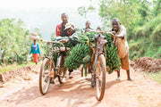 Local Burundi men pushing their bikes full of green bananas on a dirt road.