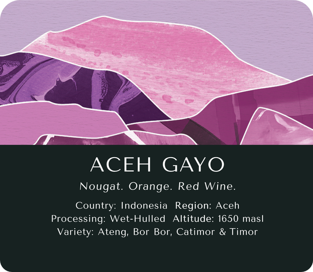 Aceh Gayo (Wet-Hulled) - Sumatra