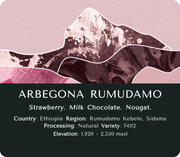 Arbegona Rumudamo (Natural) - Ethiopia