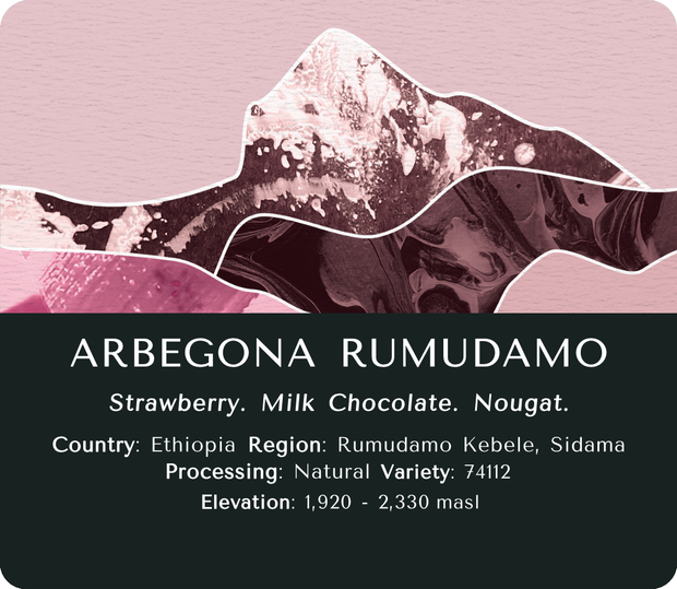 Arbegona Rumudamo (Natural) - Ethiopia