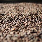 Magnum Sidra (Natural Mosto Anaerobic) - Colombia
