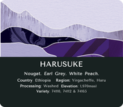 Yirgacheffe Harusuke (Washed) - Ethiopia