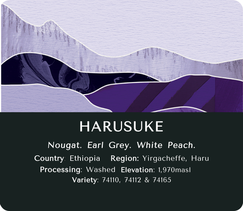 Yirgacheffe Harusuke (Washed) - Ethiopia