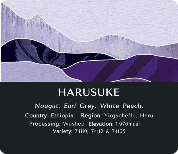 Yirgacheffe Harusuke (Washed) - Ethiopia