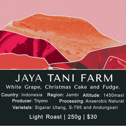 Jaya Tani Farm - Indonesia (Anaeorbic Natural)