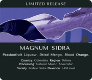 Magnum Sidra (Natural Mosto Anaerobic) - Colombia