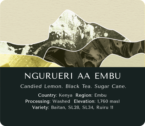 Ngurueri (Washed) - Kenya