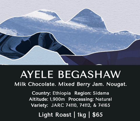 Ayele Begashaw (Natural) - Ethiopia