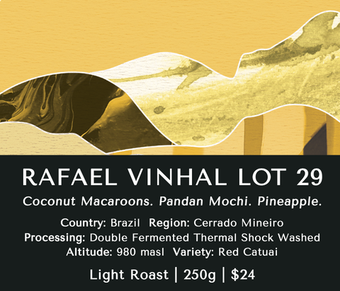 Rafael Vinhal Lot 29 (Washed) - Brazil
