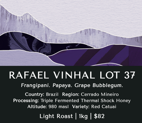 Rafael Vinhal Lot 37 (Honey) - Brazil