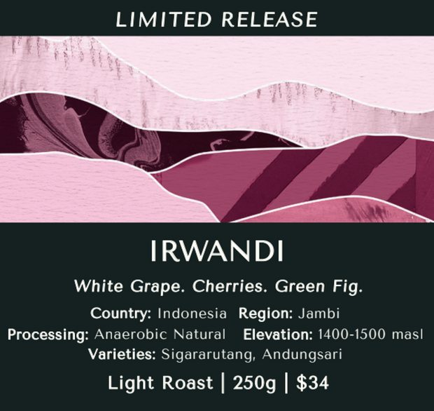 Irwandi - Indonesia (Anaerobic Natural)