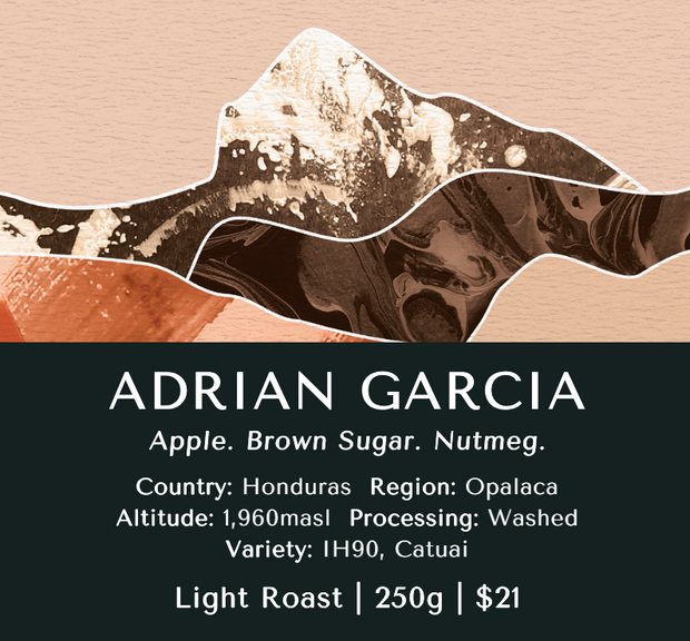 Adrian Garcia (Washed) - Honduras