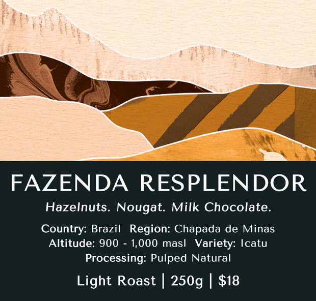 Fazenda Resplendor (Pulped Natural) - Brazil - 2024