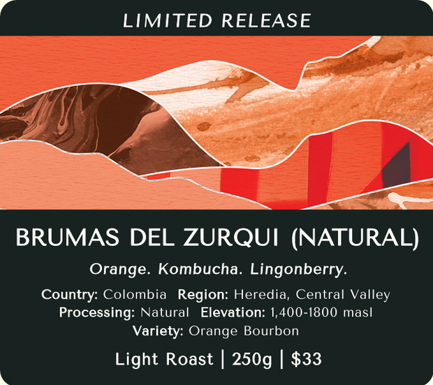 Brumas del Zurqui (Natural) - Costa Rica (Limited Release)