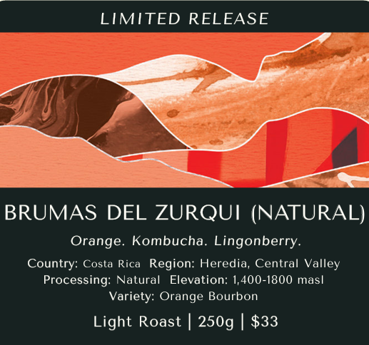 Brumas del Zurqui (Natural) - Costa Rica (Limited Release)