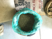 Blue GrainPro bag filled with green coffee beans.
