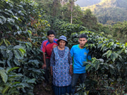Carmela Aduviri and two men standing amongst a dense coffee bean farm in Bolivia