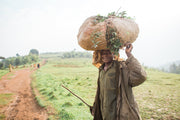 Long Miles Farm (Natural) - Burundi