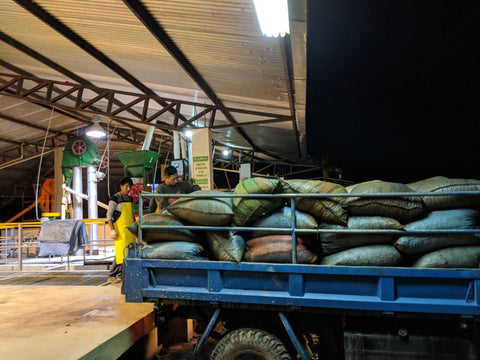 Bolivian men loading up a blue truck with bags of Bolivian coffee beans at night.