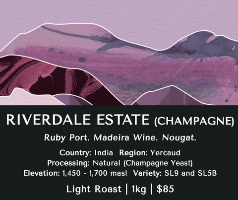 Riverdale Estate (Champagne) - India
