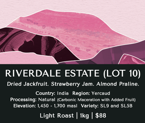 Riverdale Estate (CM Lot 10) - India