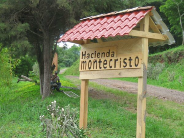 Monte Cristo (Decaf) - Honduras
